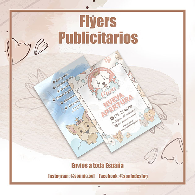 Flyers publicitarios