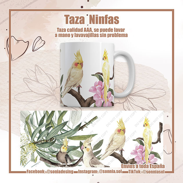 Taza ninfas